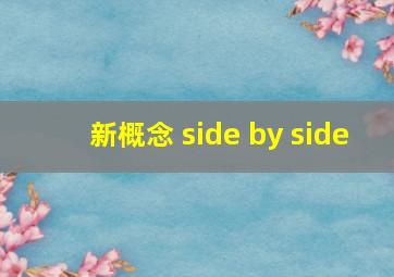 新概念 side by side